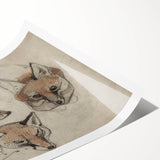Grunge Fox Sketches - Vintage Grunge Aesthetic Canvas Print Art