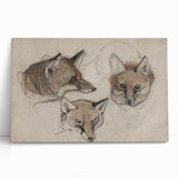 Grunge Fox Sketches - Vintage Grunge Aesthetic Canvas Print Art