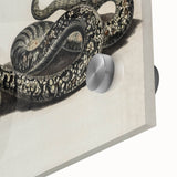 Grunge Snake and Butterfly - Vintage Grunge Aesthetic Canvas Print