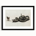 Grunge Snake and Butterfly - Vintage Grunge Aesthetic Canvas Print