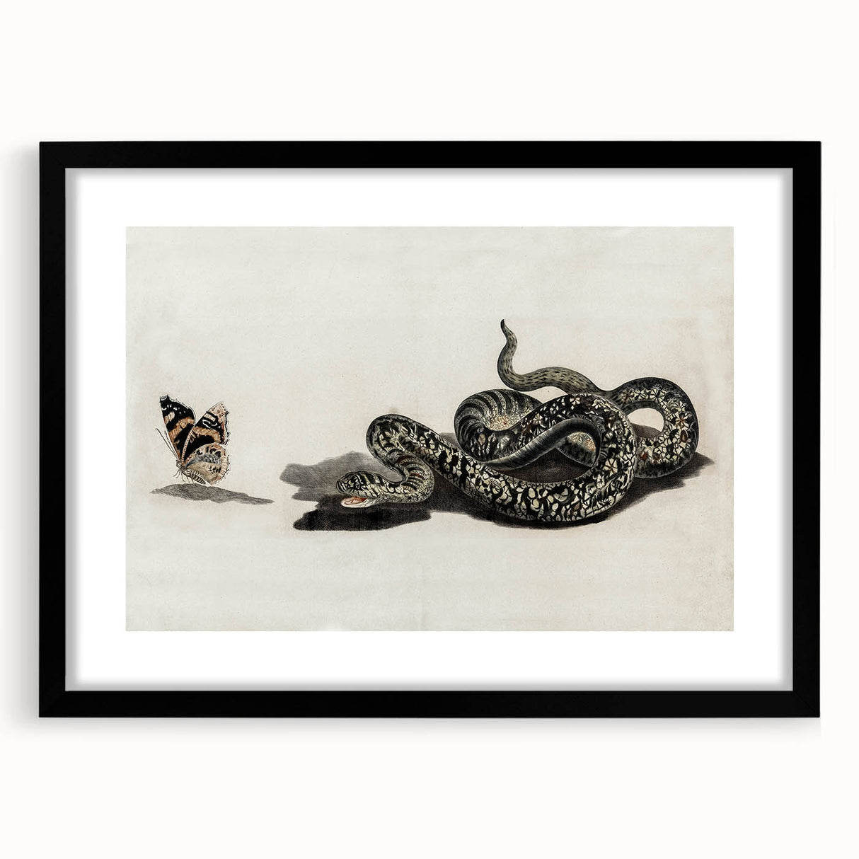 Grunge Snake and Butterfly - Vintage Grunge Aesthetic Canvas Print