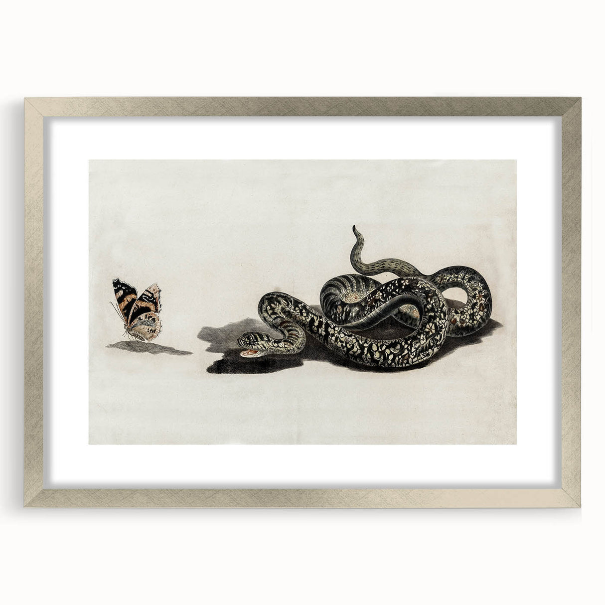 Grunge Snake and Butterfly - Vintage Grunge Aesthetic Canvas Print