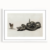 Grunge Snake and Butterfly - Vintage Grunge Aesthetic Canvas Print