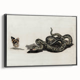 Grunge Snake and Butterfly - Vintage Grunge Aesthetic Canvas Print