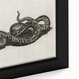 Grunge Snake and Butterfly - Vintage Grunge Aesthetic Canvas Print