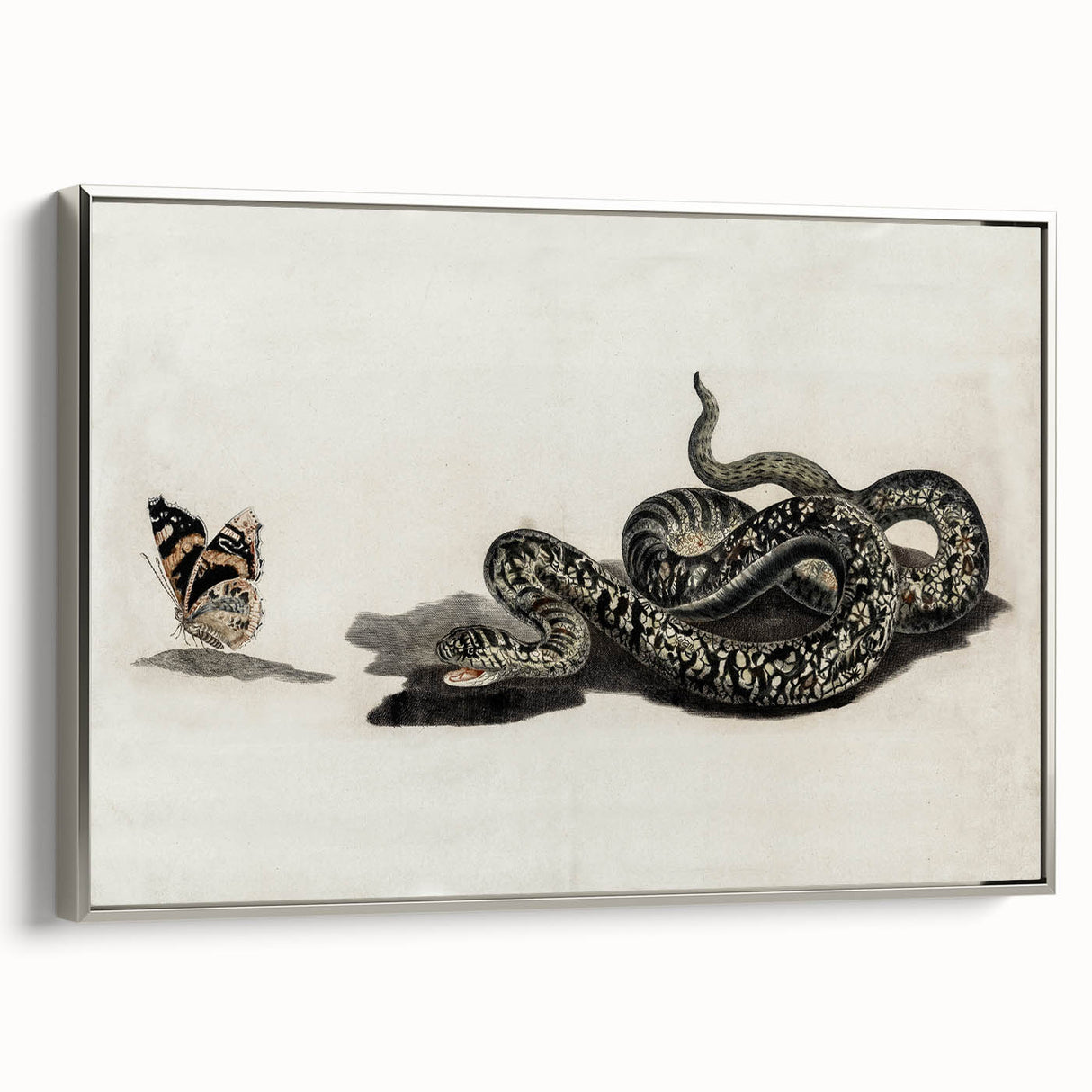 Grunge Snake and Butterfly - Vintage Grunge Aesthetic Canvas Print
