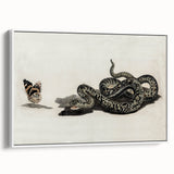 Grunge Snake and Butterfly - Vintage Grunge Aesthetic Canvas Print