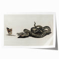 Grunge Snake and Butterfly - Vintage Grunge Aesthetic Canvas Print