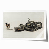 Grunge Snake and Butterfly - Vintage Grunge Aesthetic Canvas Print