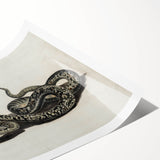 Grunge Snake and Butterfly - Vintage Grunge Aesthetic Canvas Print