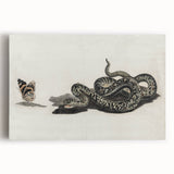 Grunge Snake and Butterfly - Vintage Grunge Aesthetic Canvas Print