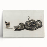 Grunge Snake and Butterfly - Vintage Grunge Aesthetic Canvas Print
