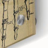 Grunge Wall Art - Vintage Anatomical Hand Illustration - Grunge Aesthetic Art