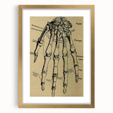 Grunge Wall Art - Vintage Anatomical Hand Illustration - Grunge Aesthetic Art