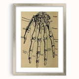 Grunge Wall Art - Vintage Anatomical Hand Illustration - Grunge Aesthetic Art