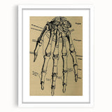 Grunge Wall Art - Vintage Anatomical Hand Illustration - Grunge Aesthetic Art