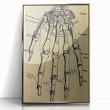 Grunge Wall Art - Vintage Anatomical Hand Illustration - Grunge Aesthetic Art