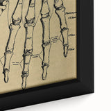 Grunge Wall Art - Vintage Anatomical Hand Illustration - Grunge Aesthetic Art