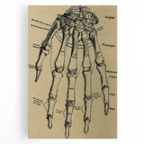 Grunge Wall Art - Vintage Anatomical Hand Illustration - Grunge Aesthetic Art