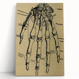 Grunge Wall Art - Vintage Anatomical Hand Illustration - Grunge Aesthetic Art