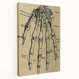 Grunge Wall Art - Vintage Anatomical Hand Illustration - Grunge Aesthetic Art
