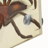 Grunge Spider Illustration - Vintage Grunge Aesthetic Canvas Print