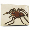 Grunge Spider Illustration - Vintage Grunge Aesthetic Canvas Print