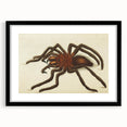 Grunge Spider Illustration - Vintage Grunge Aesthetic Canvas Print