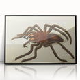 Grunge Spider Illustration - Vintage Grunge Aesthetic Canvas Print