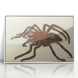 Grunge Spider Illustration - Vintage Grunge Aesthetic Canvas Print