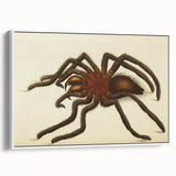 Grunge Spider Illustration - Vintage Grunge Aesthetic Canvas Print