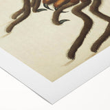 Grunge Spider Illustration - Vintage Grunge Aesthetic Canvas Print