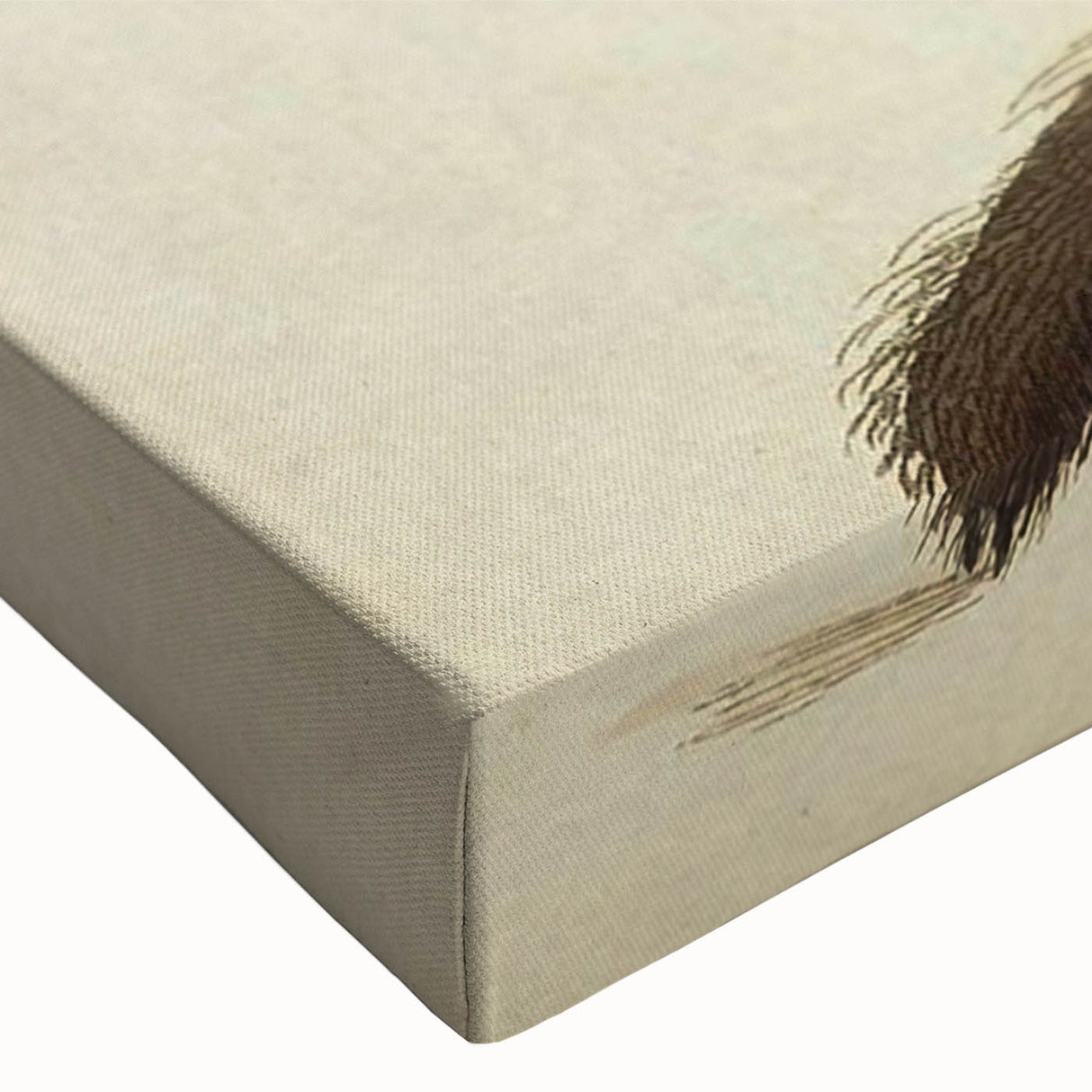 Grunge Spider Illustration - Vintage Grunge Aesthetic Canvas Print