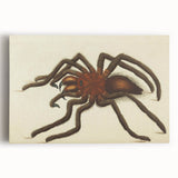 Grunge Spider Illustration - Vintage Grunge Aesthetic Canvas Print