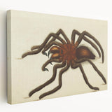 Grunge Spider Illustration - Vintage Grunge Aesthetic Canvas Print