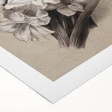 Vintage Floral Grunge Art - Distressed Black and White Canvas Print