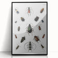Vintage Beetle Illustration - Grunge Insect Art - Abstract Canvas Print