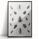 Vintage Beetle Illustration - Grunge Insect Art - Abstract Canvas Print