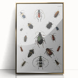 Vintage Beetle Illustration - Grunge Insect Art - Abstract Canvas Print