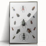 Vintage Beetle Illustration - Grunge Insect Art - Abstract Canvas Print