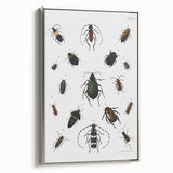 Vintage Beetle Illustration - Grunge Insect Art - Abstract Canvas Print
