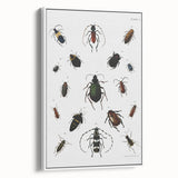 Vintage Beetle Illustration - Grunge Insect Art - Abstract Canvas Print