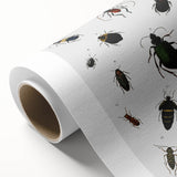 Vintage Beetle Illustration - Grunge Insect Art - Abstract Canvas Print