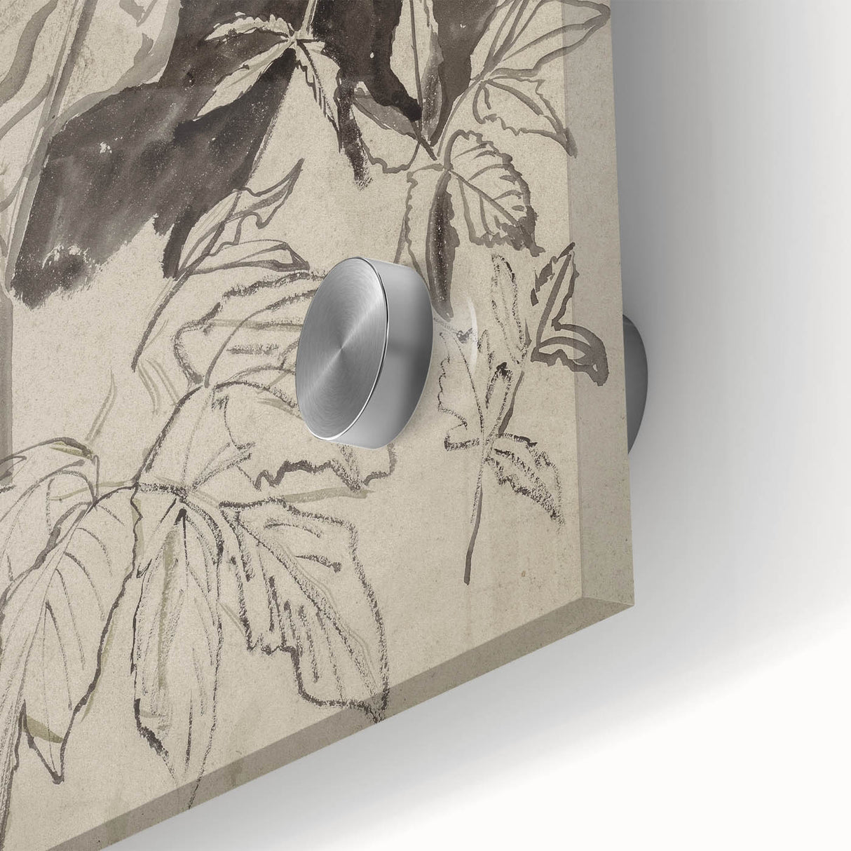 Botanical Black and White Grunge Wall Art - Vintage Grunge Canvas Print