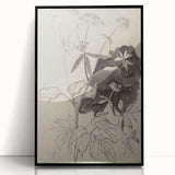 Botanical Black and White Grunge Wall Art - Vintage Grunge Canvas Print