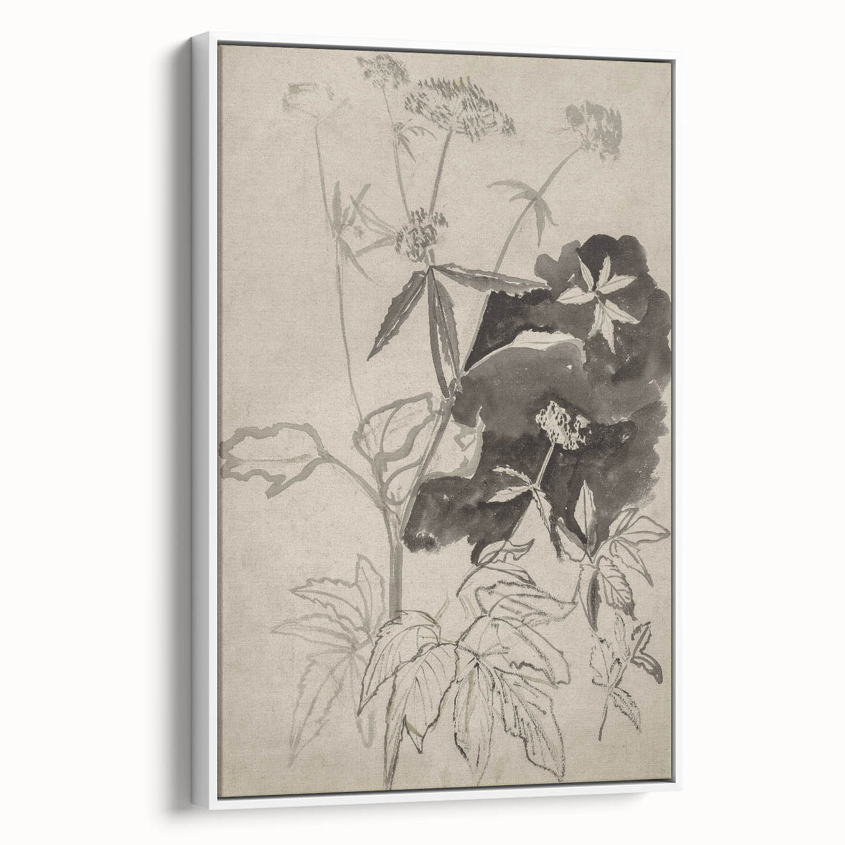 Botanical Black and White Grunge Wall Art - Vintage Grunge Canvas Print