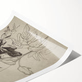 Botanical Black and White Grunge Wall Art - Vintage Grunge Canvas Print