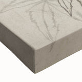 Botanical Black and White Grunge Wall Art - Vintage Grunge Canvas Print