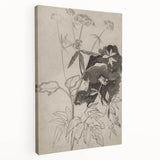 Botanical Black and White Grunge Wall Art - Vintage Grunge Canvas Print