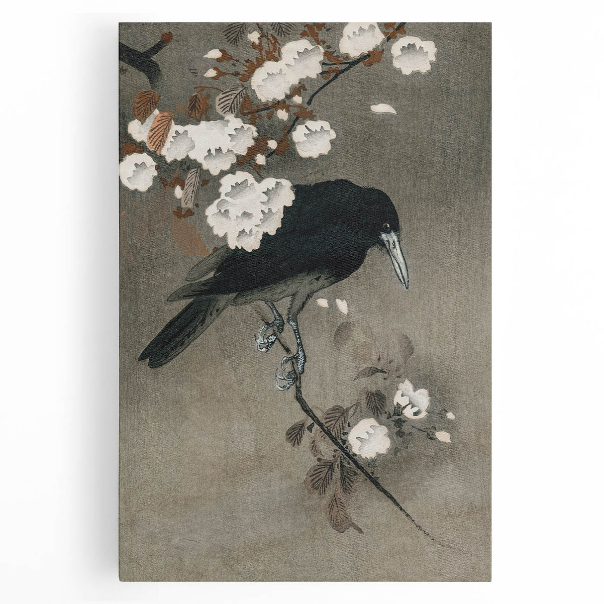 Grunge Crow and Floral Branch Wall Art - Vintage Grunge Canvas Print